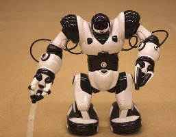 robot