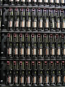 sandisks