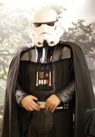 apprentice