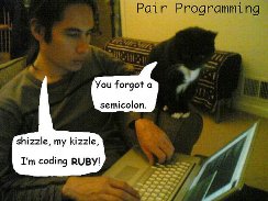 pair pair programming with cat