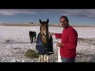 Steve and a horse