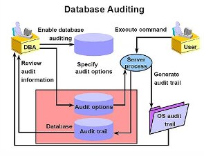 Auditing is an important part of your database application if you have any sensitive information.