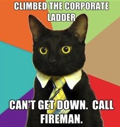 Climbing the ladder isn't for everyone, but that doesn't mean you ignore your career.