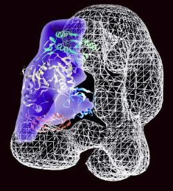 Can you patent a gene, which is essentially data?