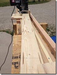 Photo Jul 01, 12 00 25 PM