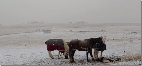 2020-02-04 07_53_40-Window