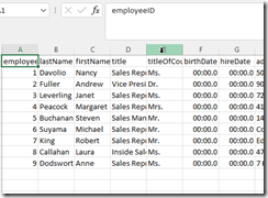 2022-08-02 16_24_48-employees.csv - Excel